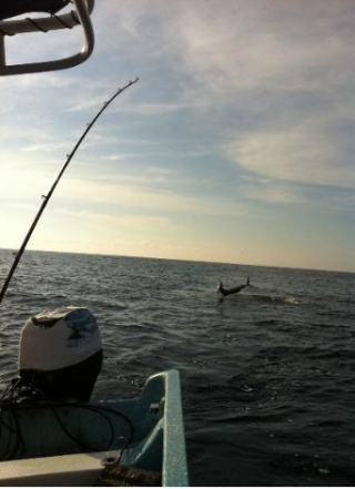 Pesca con caña